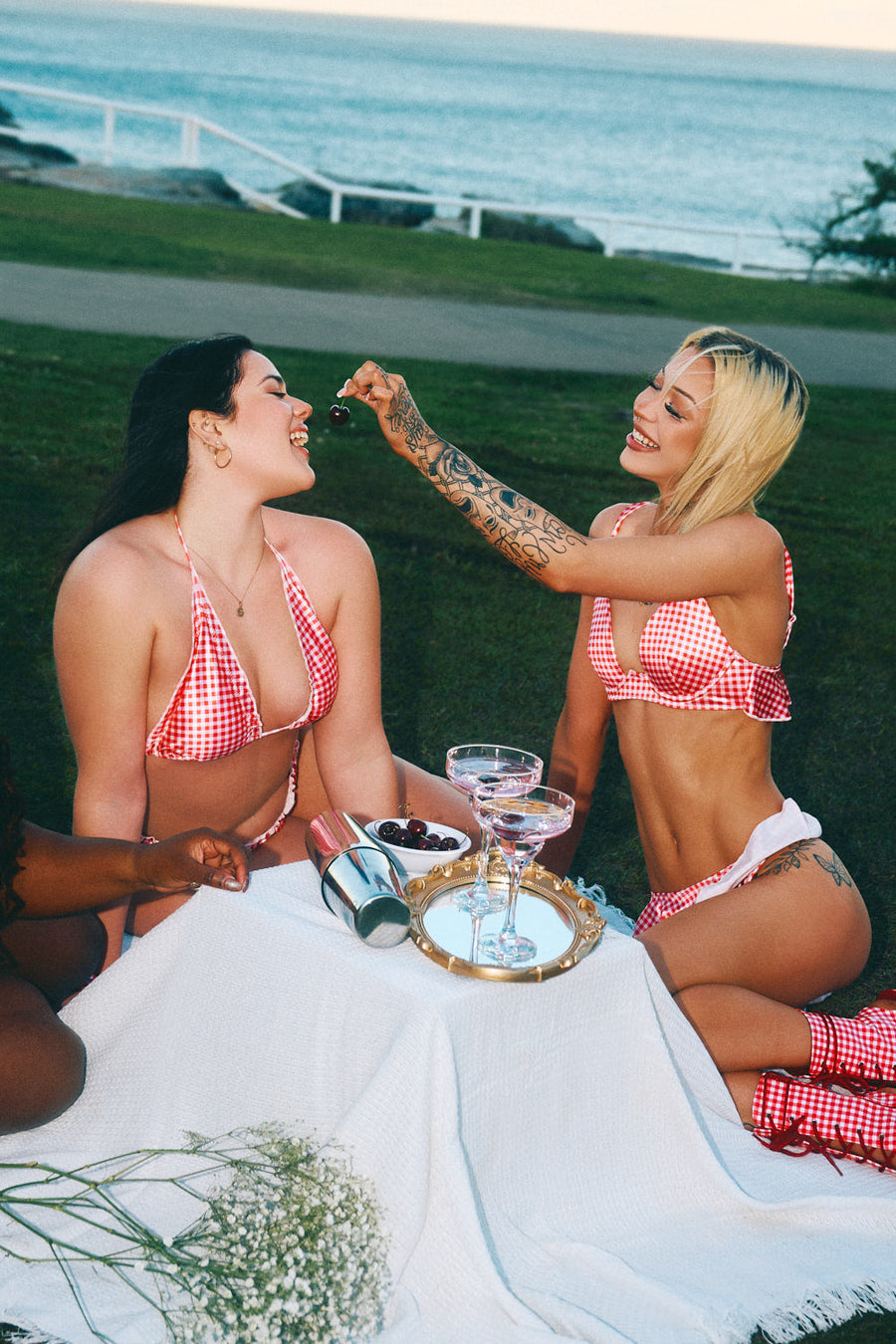 Gingham: Plunge Bra - LIMITED ED.